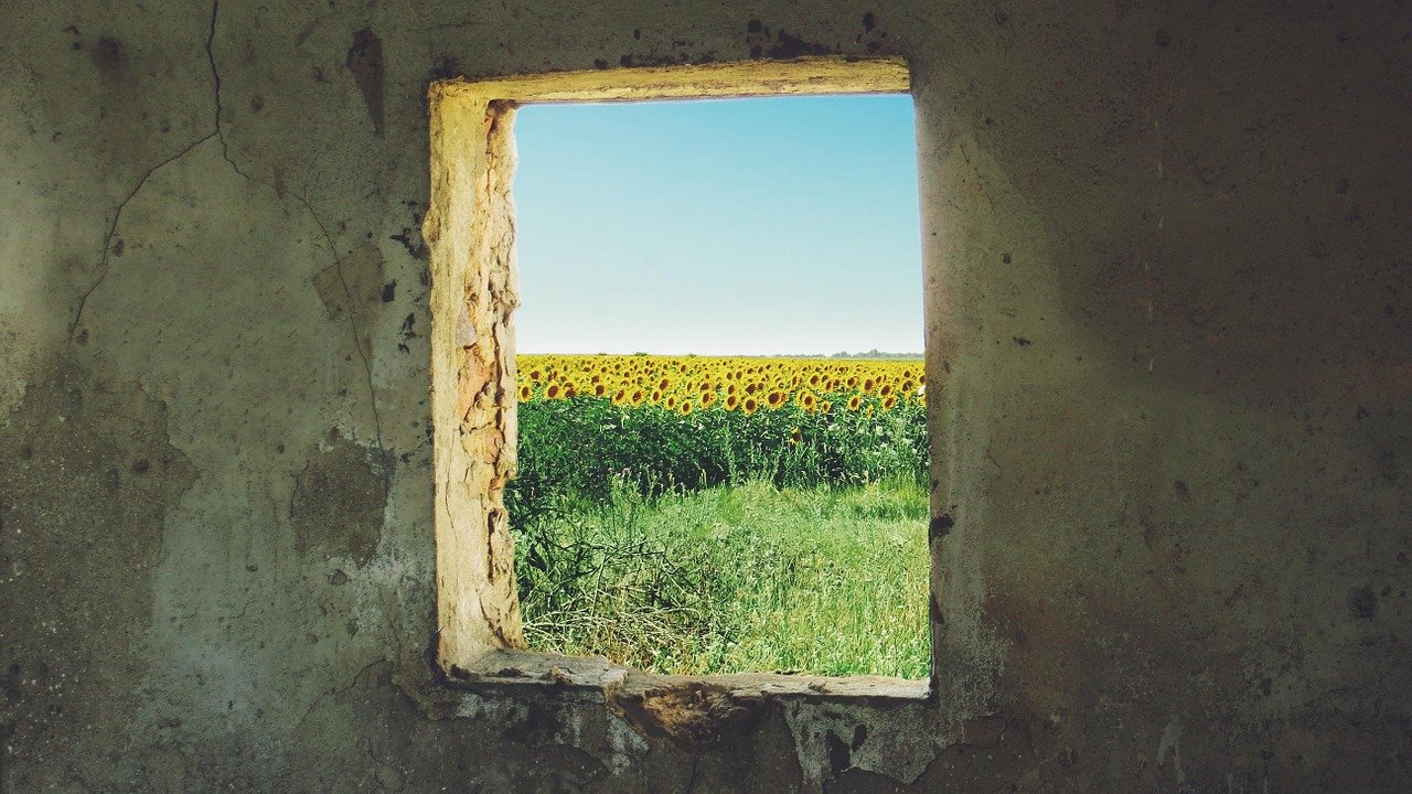 sunflower-window